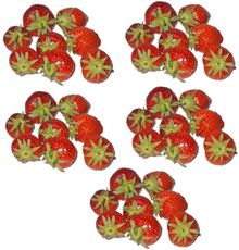 Erdbeeren-5x8.jpg